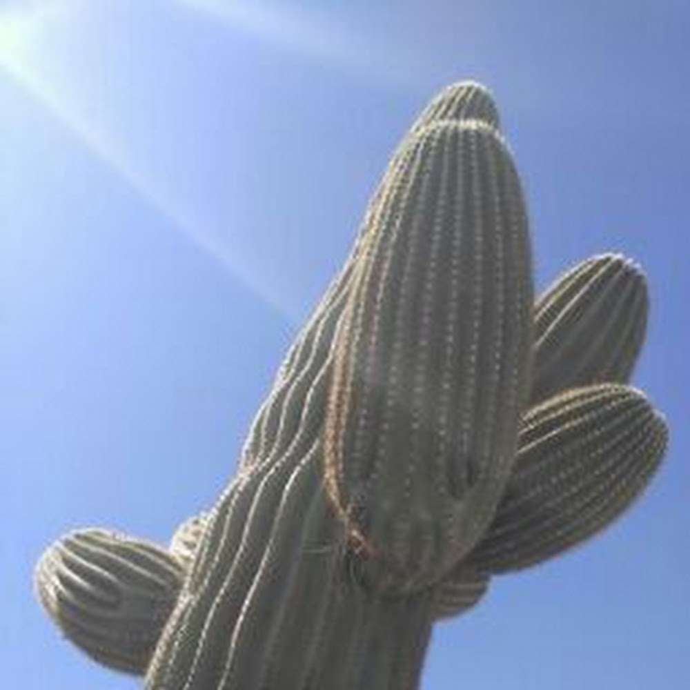 Meet your Posher, Jose